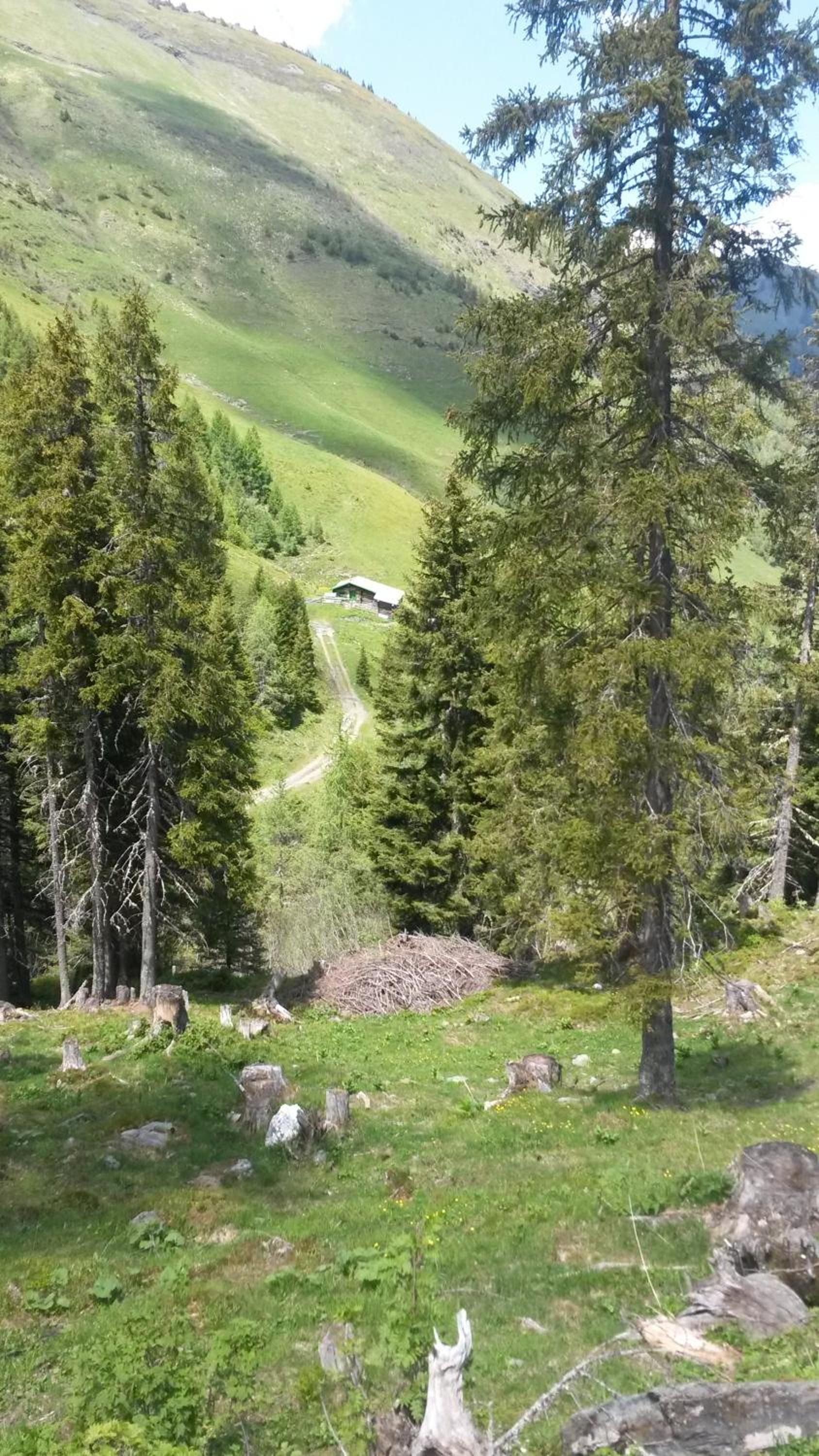 Haus Knapp FeWo Gastein