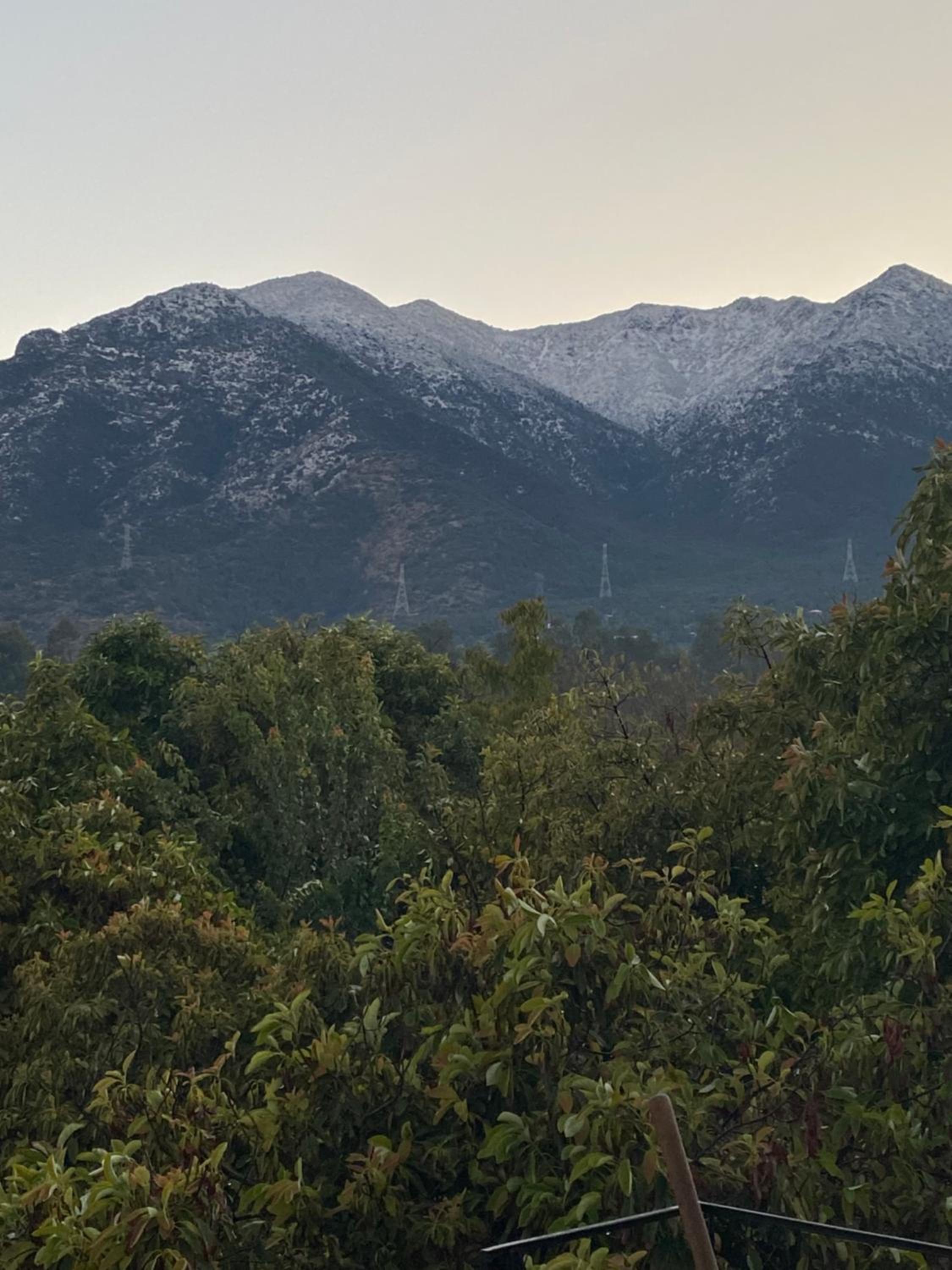 Entre Paltos y Cerros