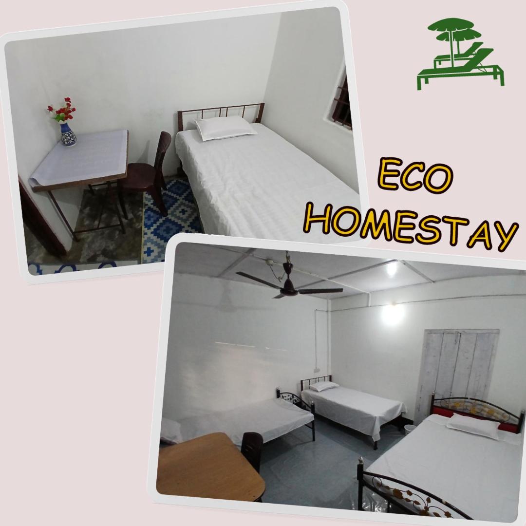 Eco Homestay