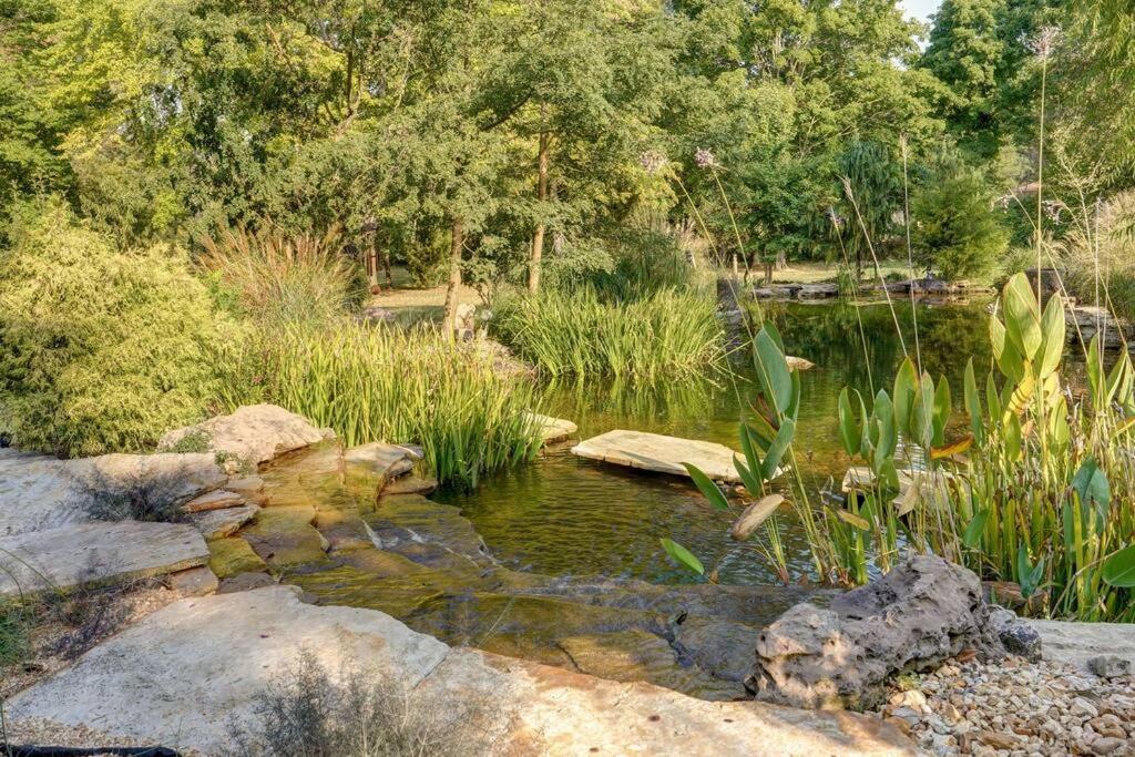Springfield Vacations - The African Queen - Property Image 50