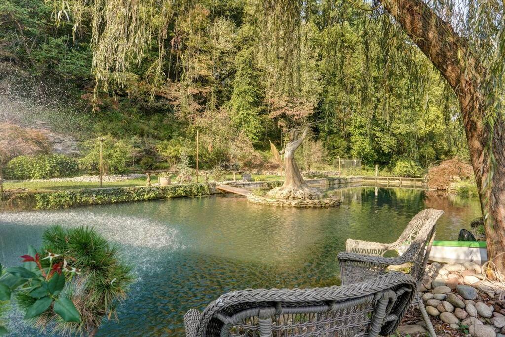 Springfield Vacations - The African Queen - Property Image 33