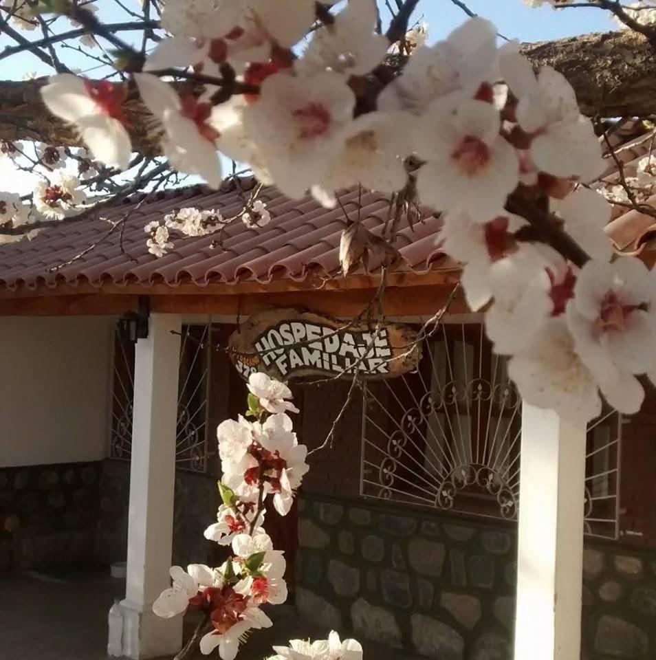 Cafayate Sol Naciente