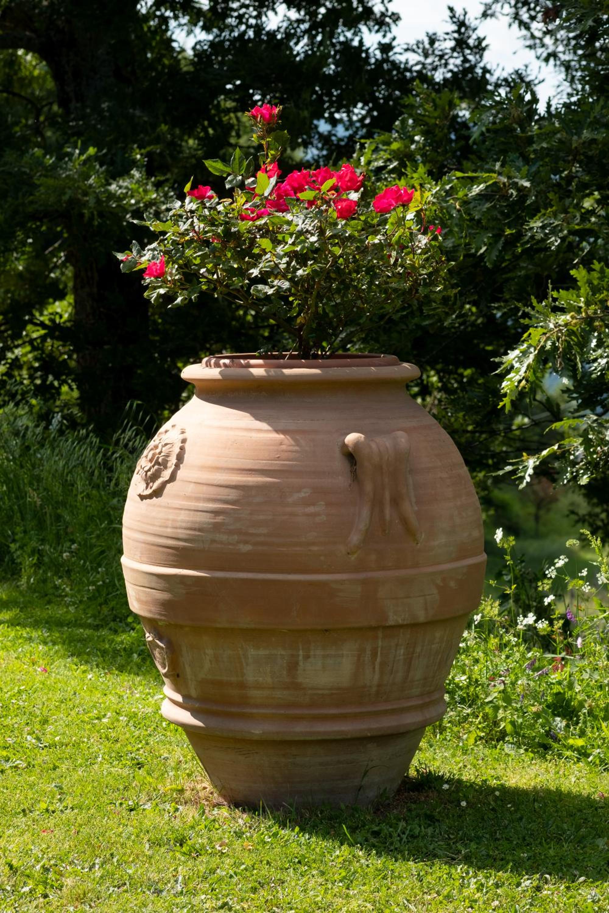Agriturismo Terrazza sul Parco