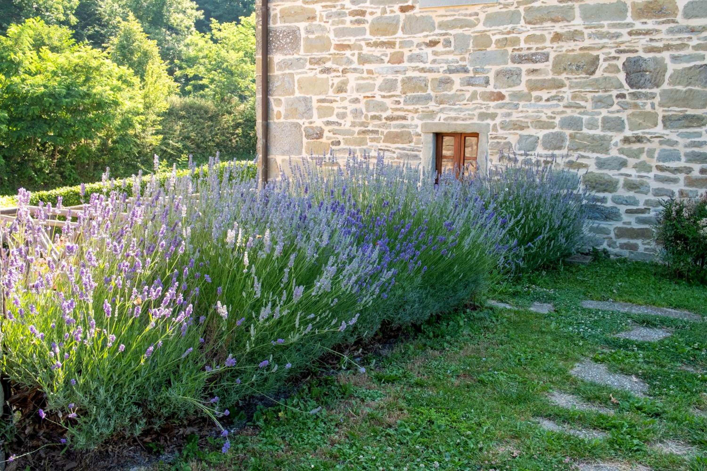 Agriturismo Terrazza sul Parco