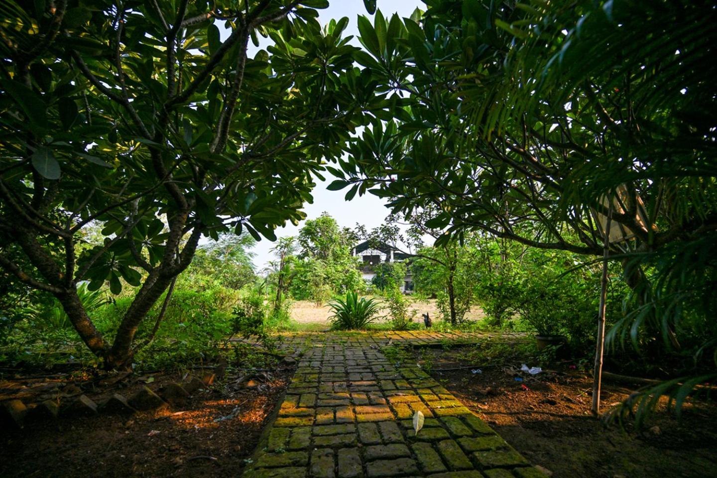 Malama Stay CampFire Farm Karjat view 4