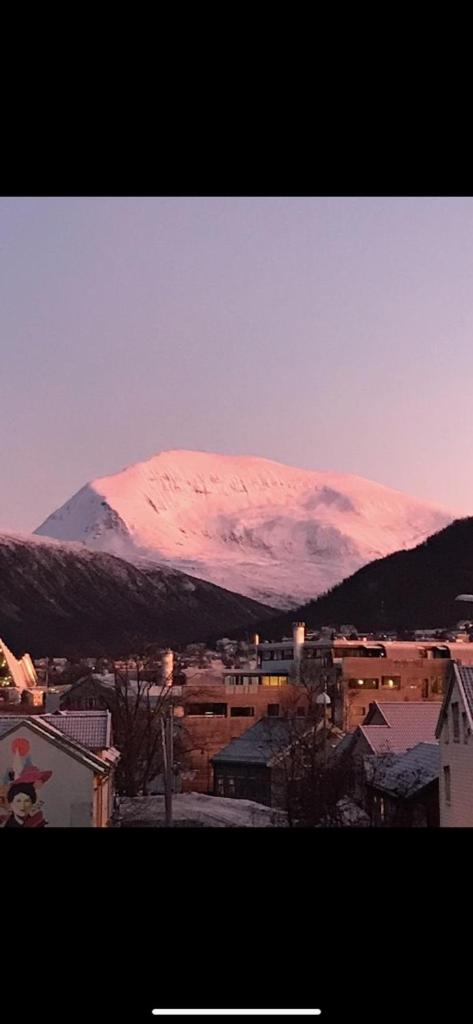 Tromsø Aurora centrum apartment