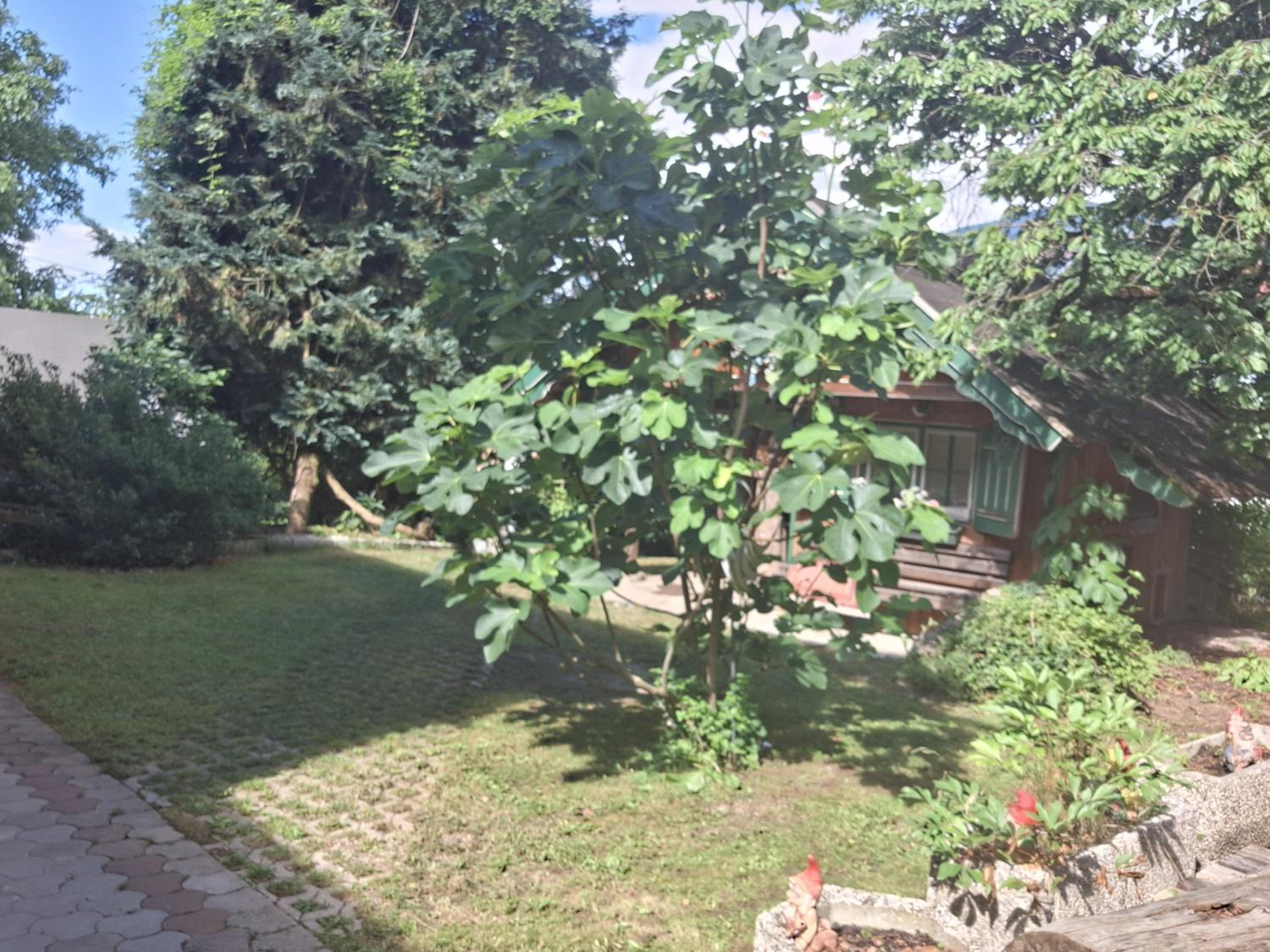 Ganzes Haus mit Almcharakter