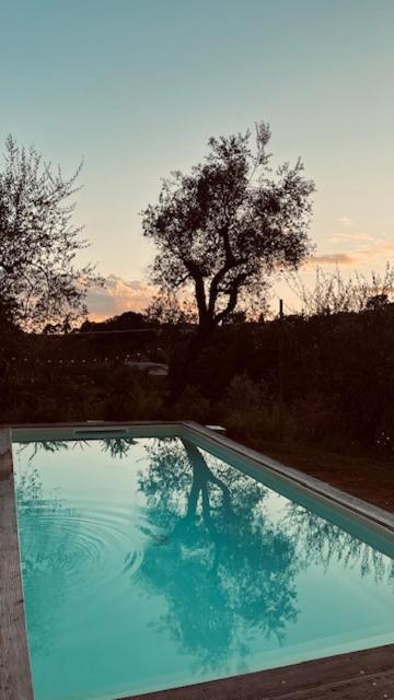 Le Molina B&B