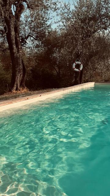 Le Molina B&B