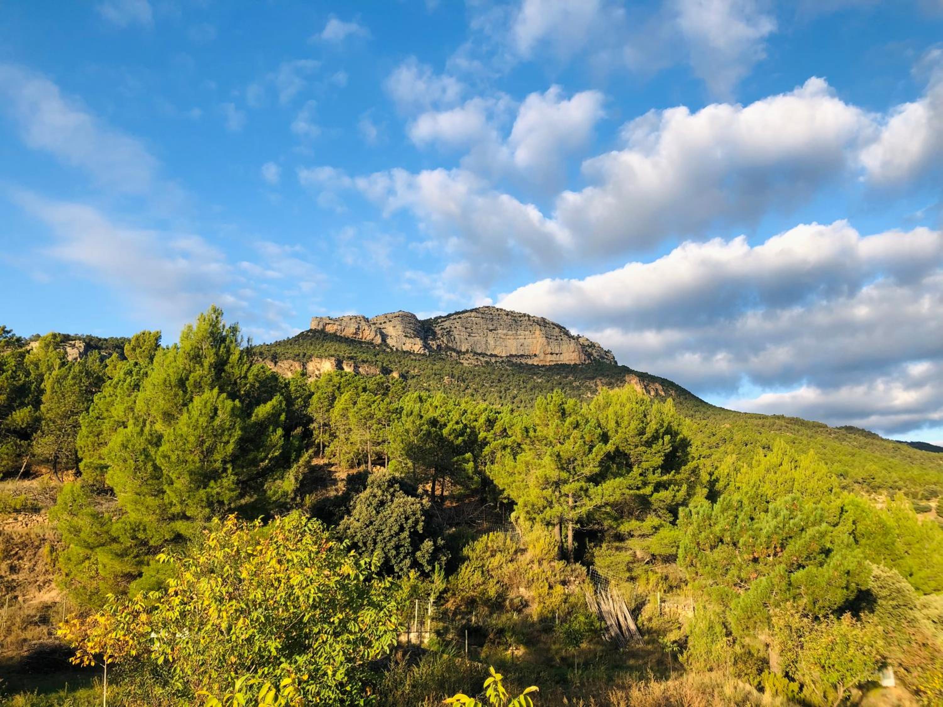 Albergue Mas de la Montaña del Cocodrilo