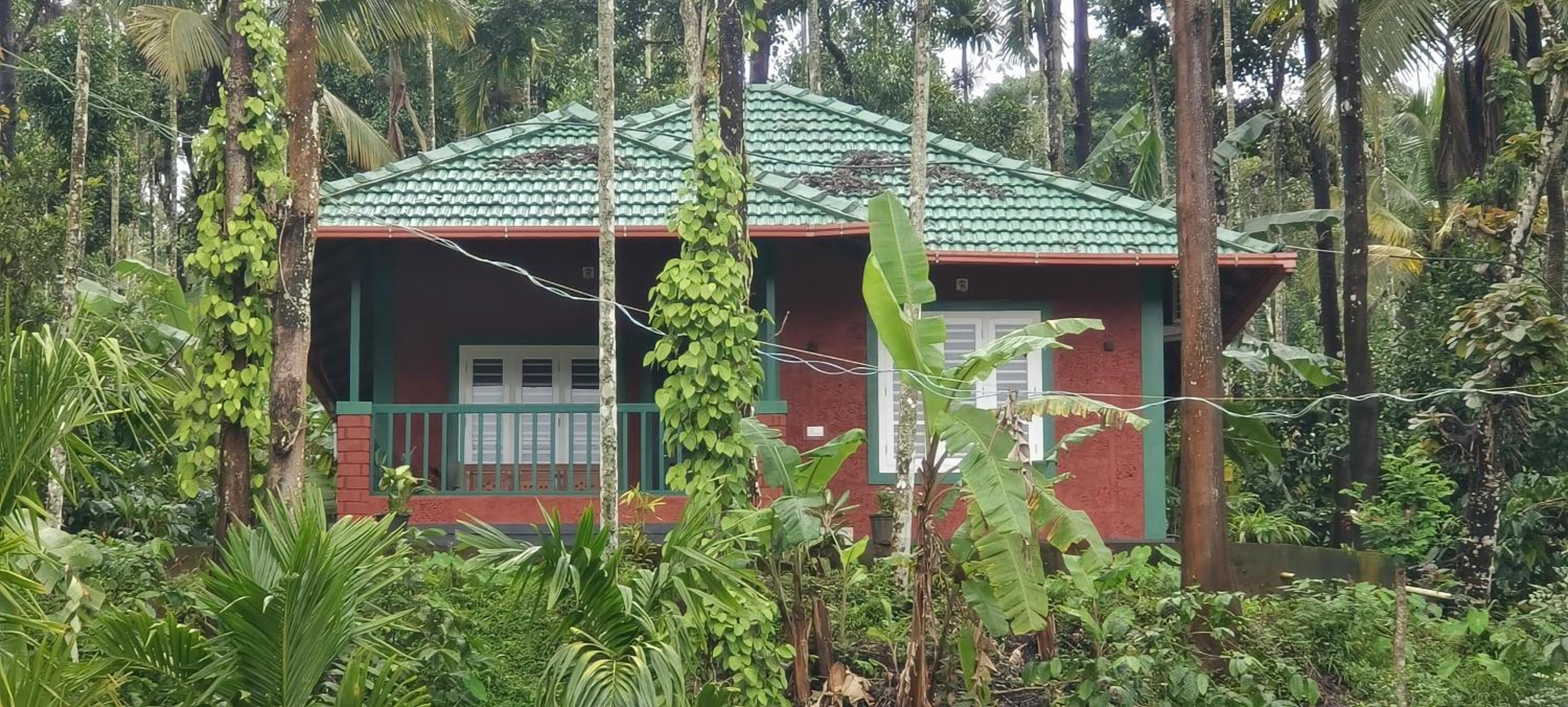 Paddy Villa Home Stay Near Kuruva Island Near Kabani Safari Centre Nagarhole wild life Thirunelly and Thrissilery Temple Banasura sagar dam 12 acra plantat view 2