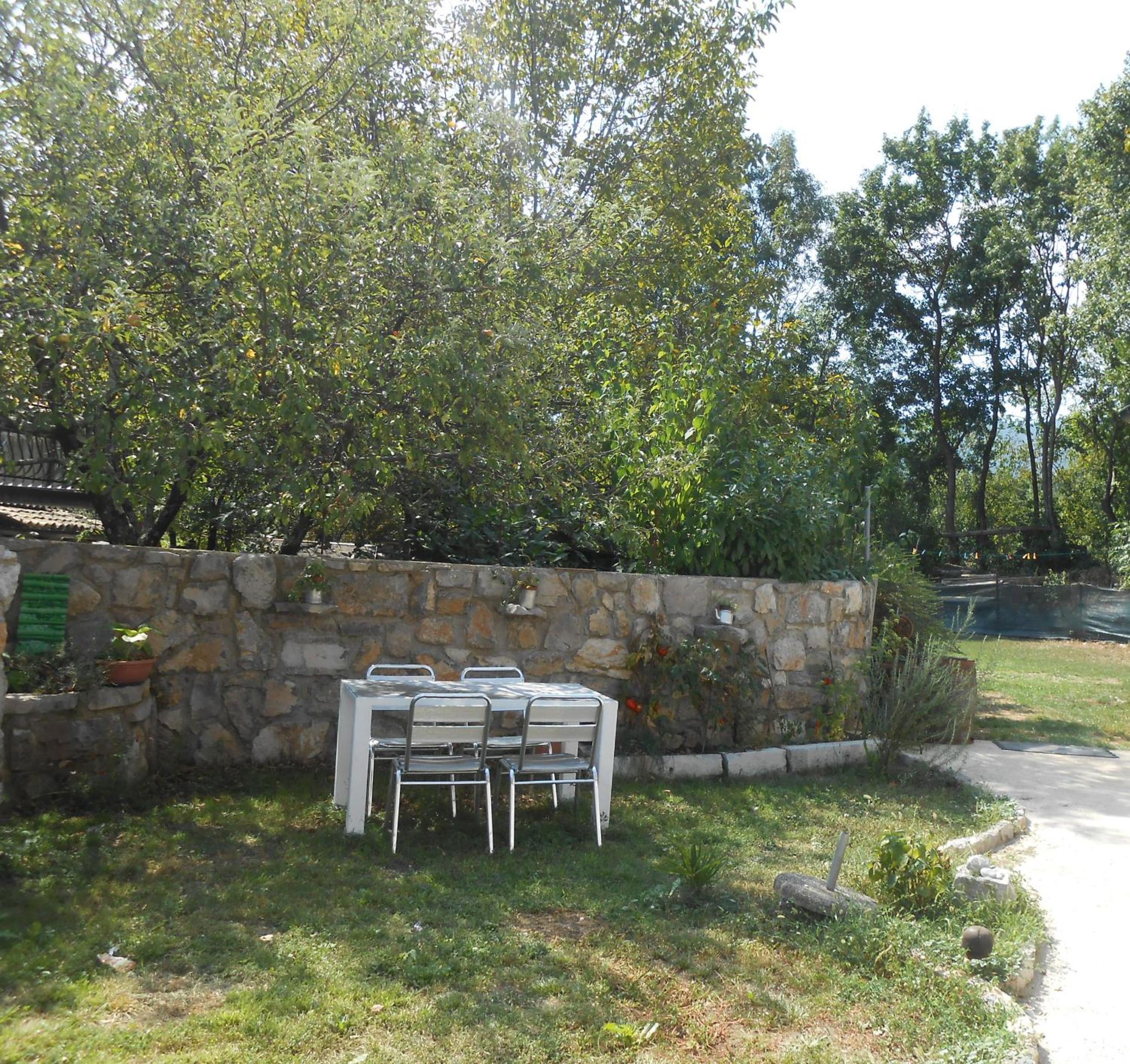 Photo 47