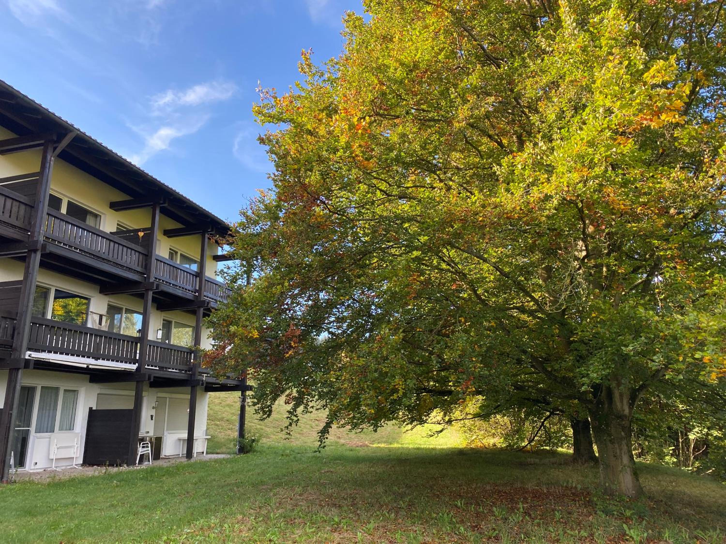 Gemutliches Apartment mit eigener Terasse zum Abschalten