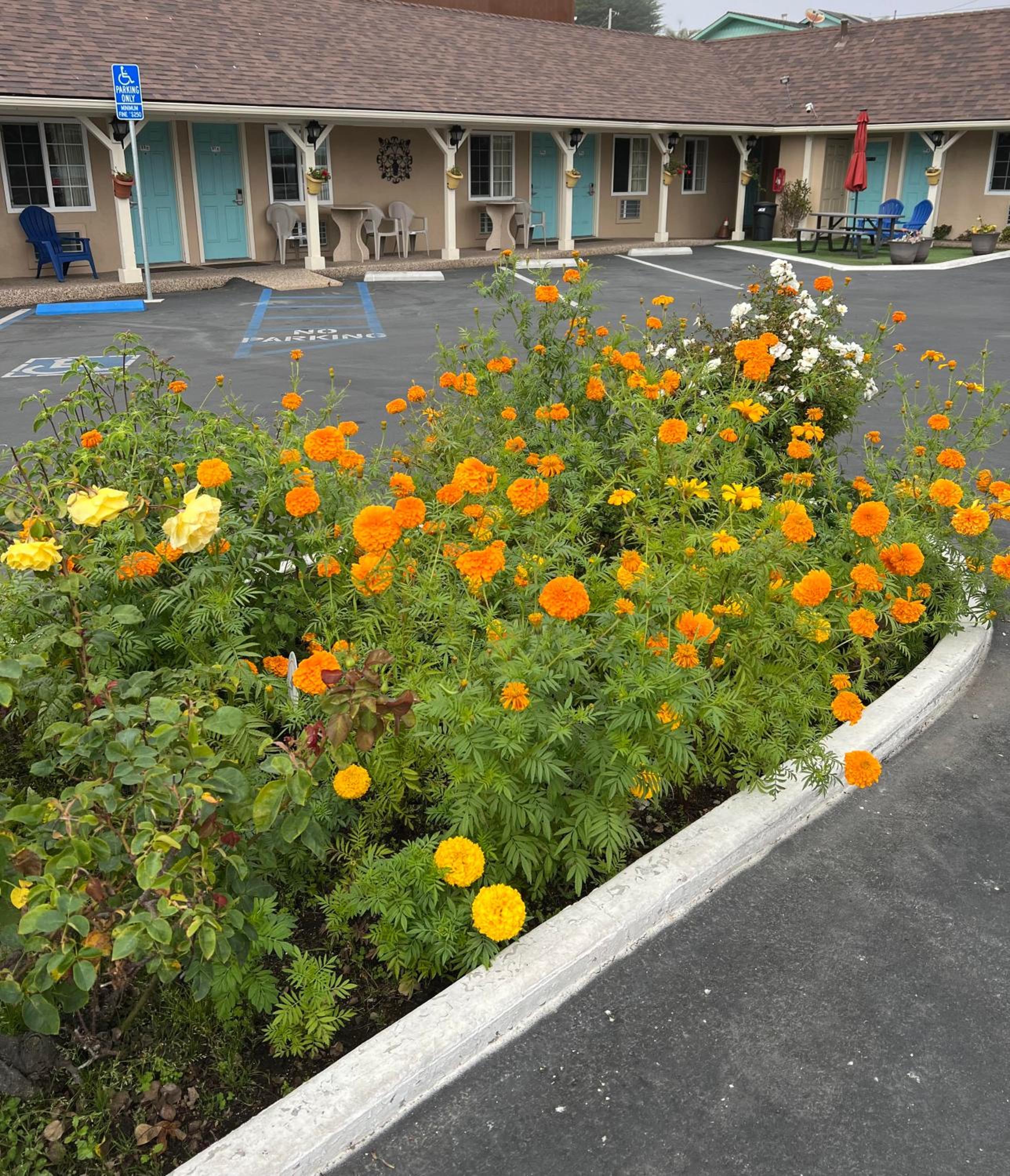 Central Coast Inn view 2