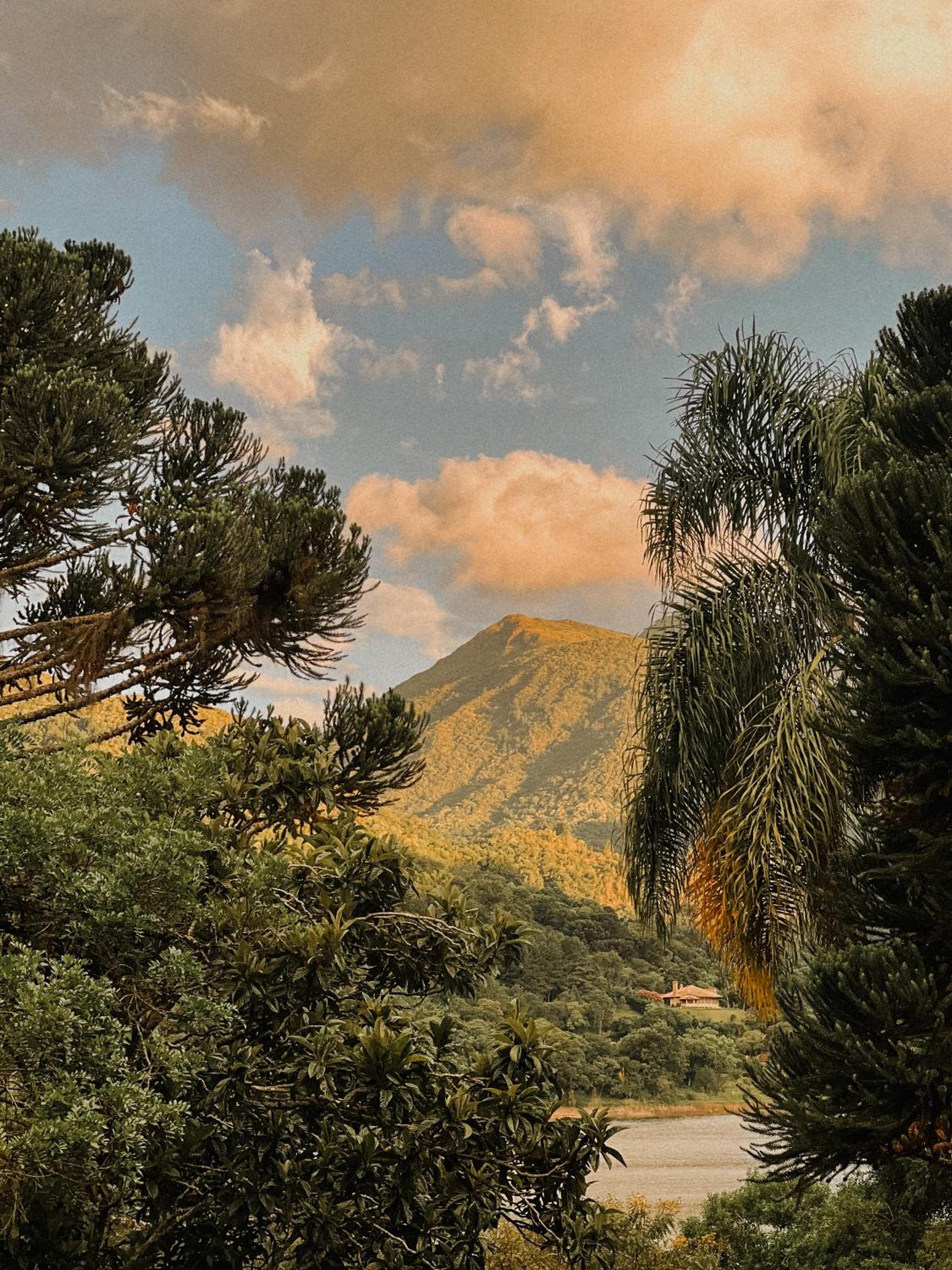 other