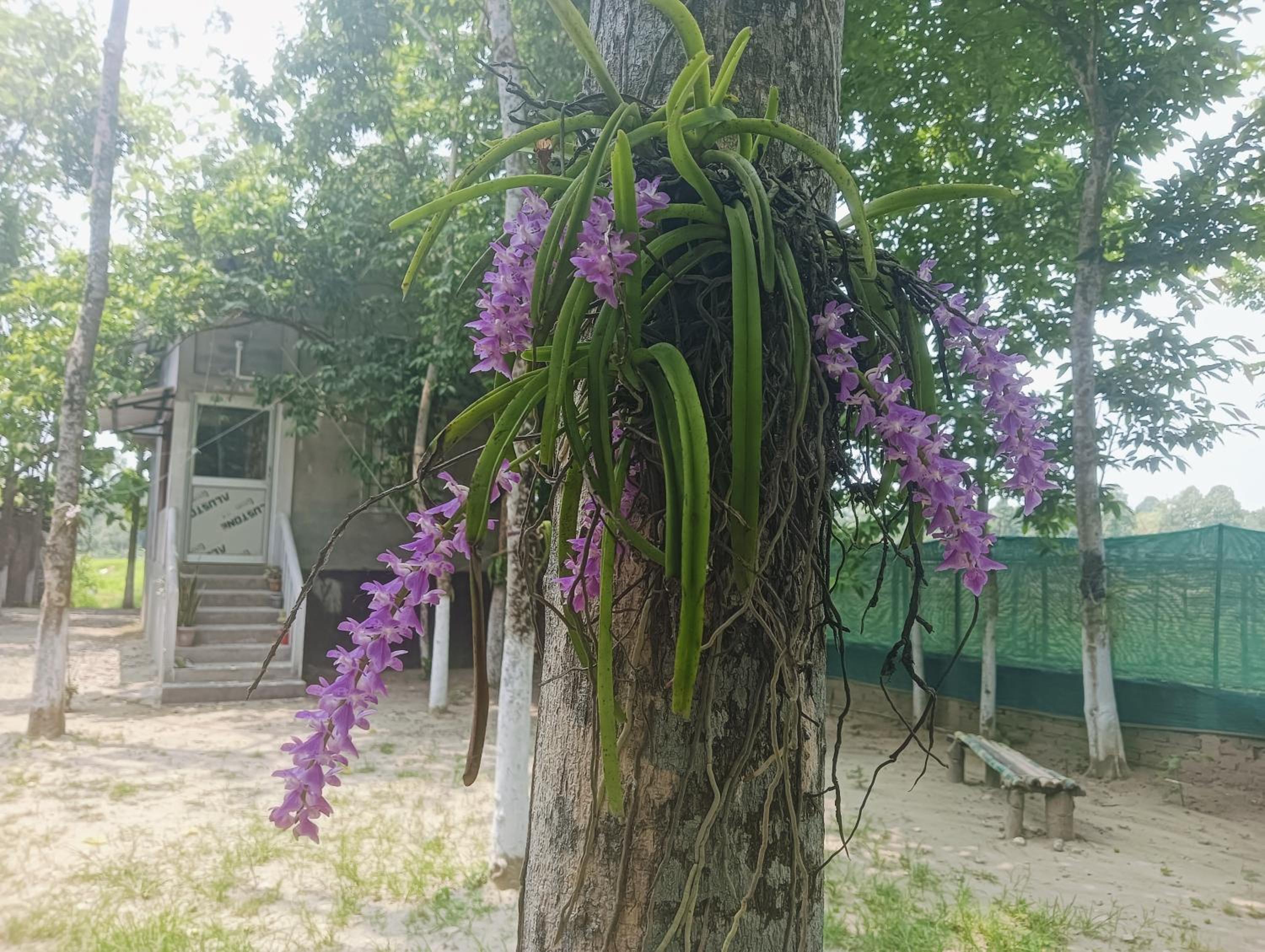 Photo 16
