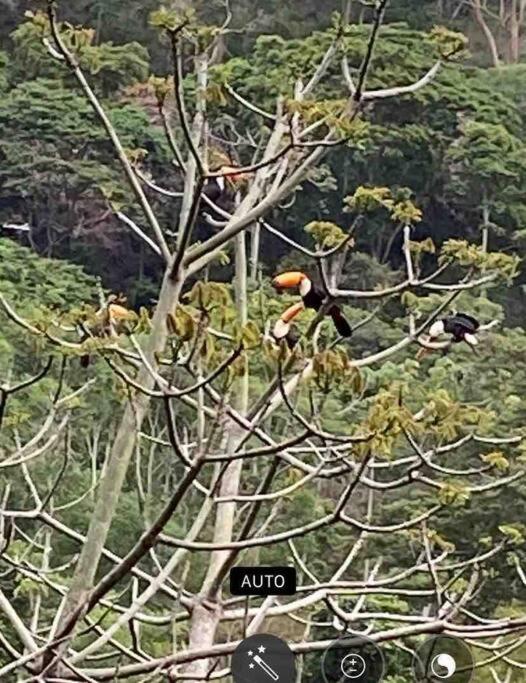 Casa na Serra Monte Domus pertinho de Itaipava- RJ, Pedro do Rio