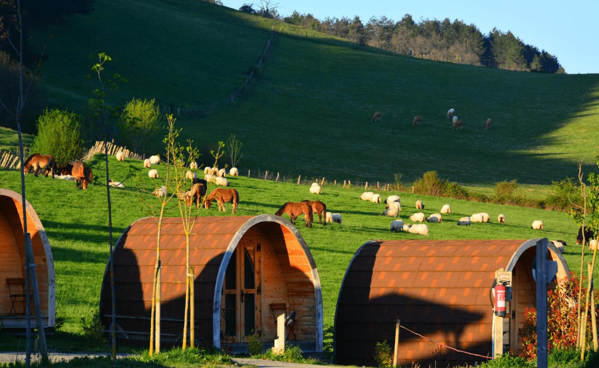 Camping IZARPE