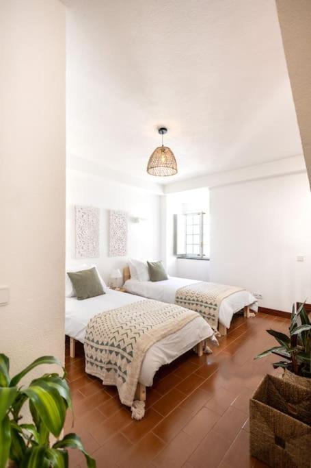 Casa Maria Amalia view 4
