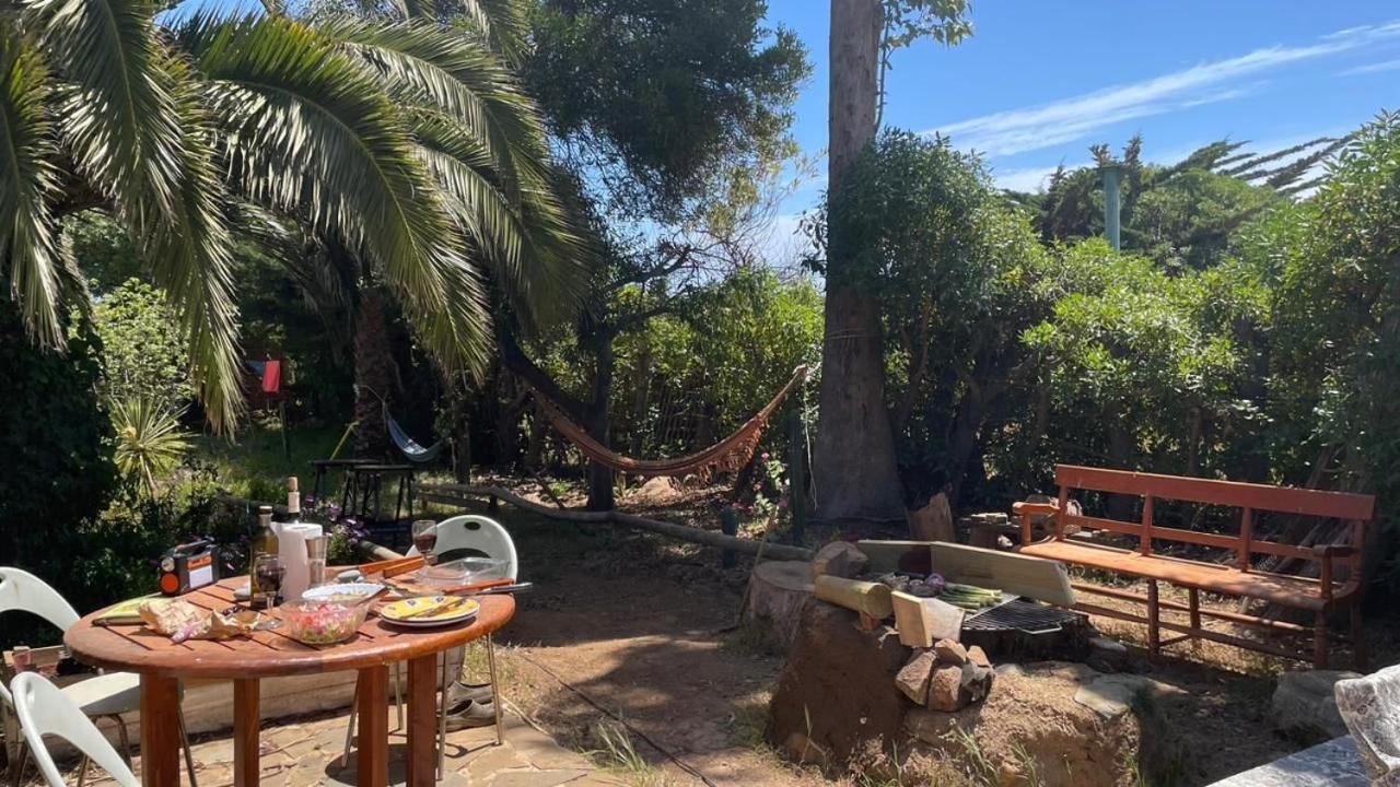 Cabaña en Pichidangui un Oasis de naturaleza y relajación