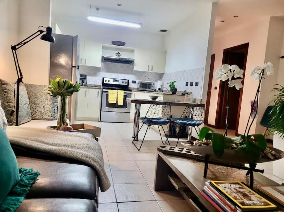 Encantador apt en zona exclusiva cerca a Starbucks