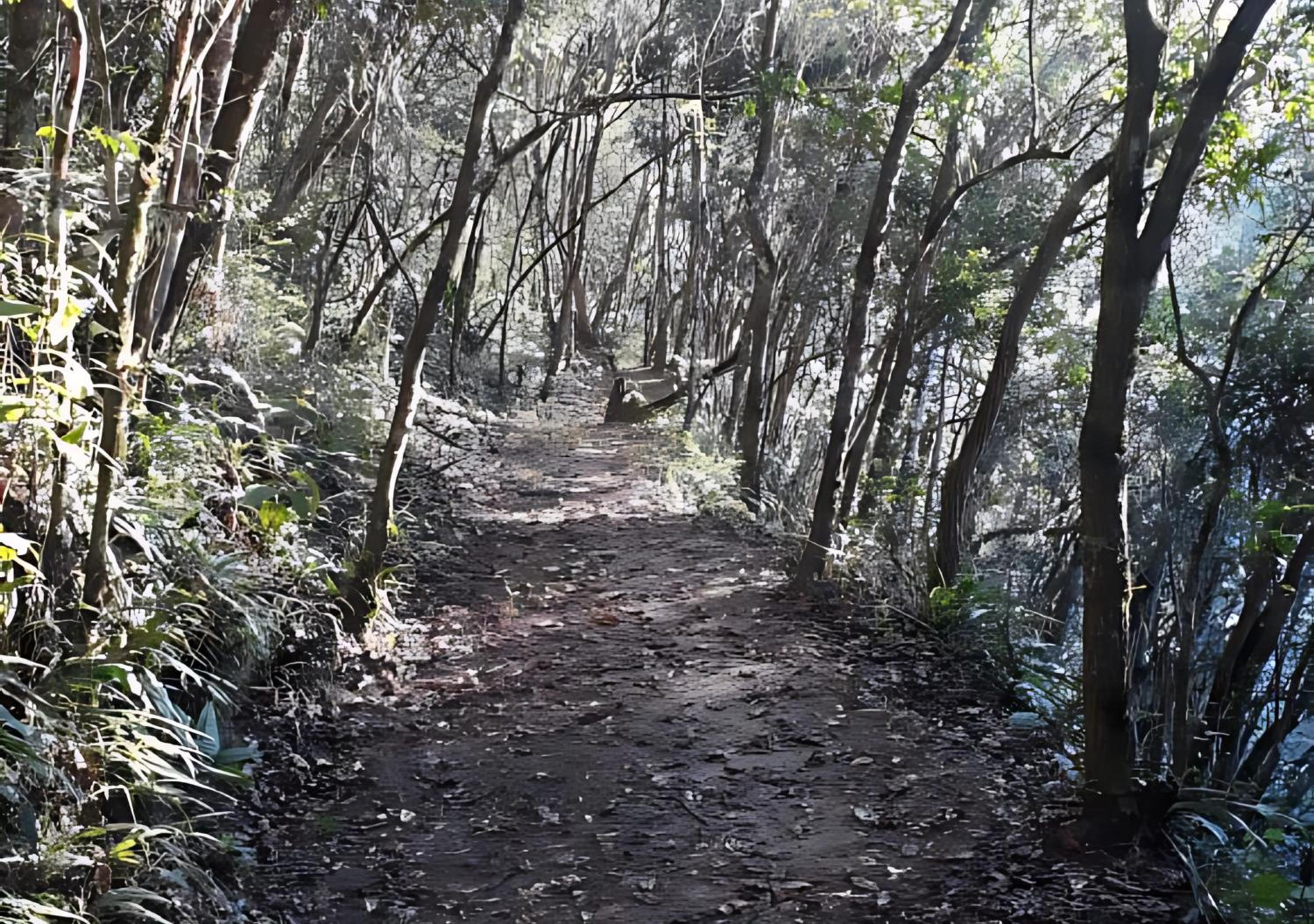 Sitio Tertulia Chalés e Cachoeira