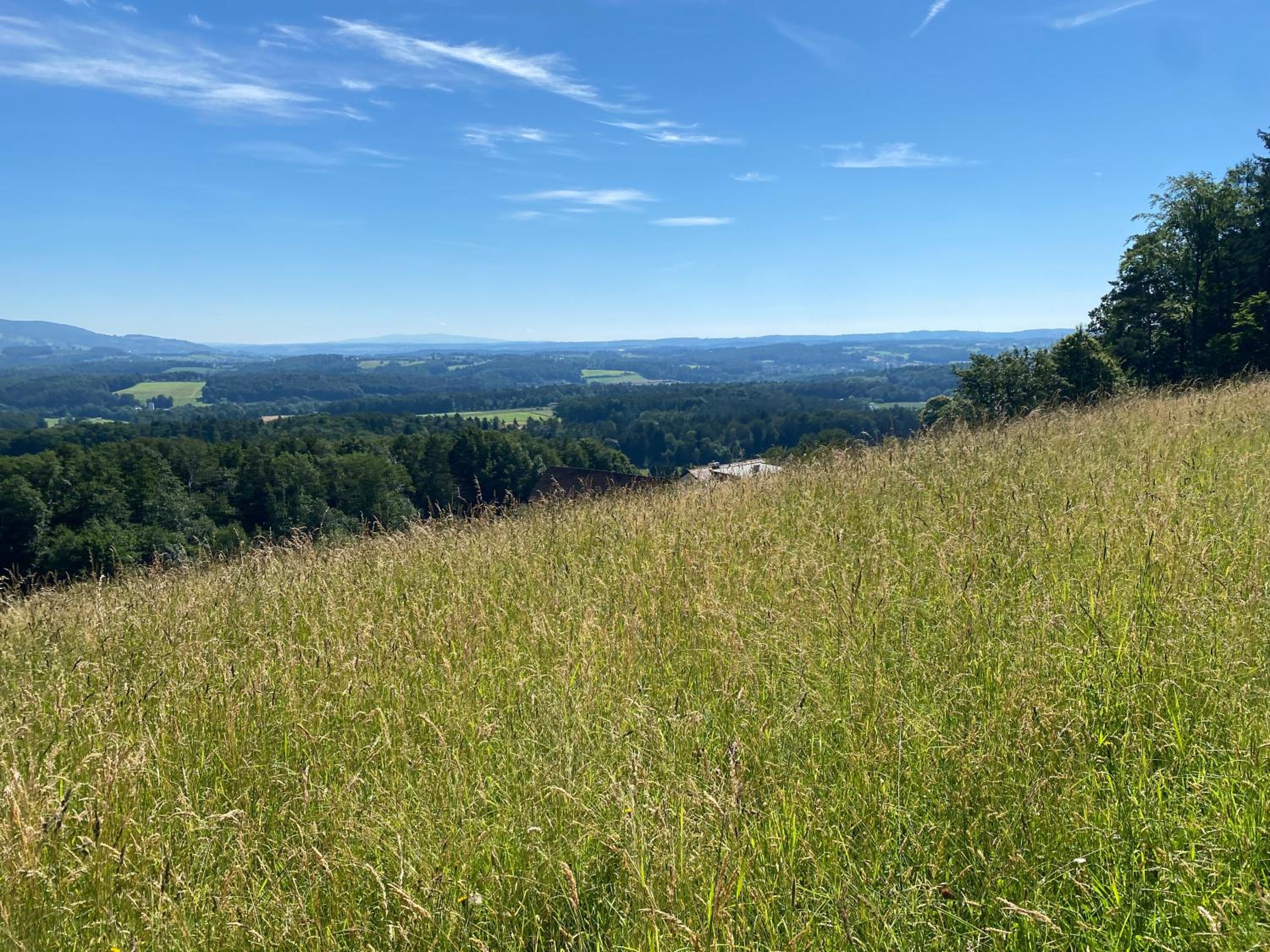 Wohnen zwischen Golf und Therme