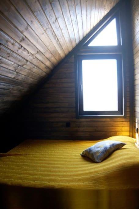 Photo 45