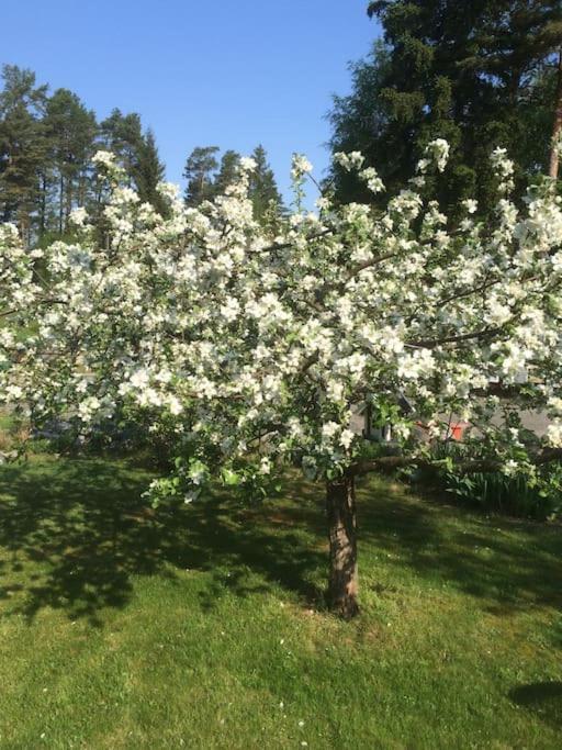 Tallgården