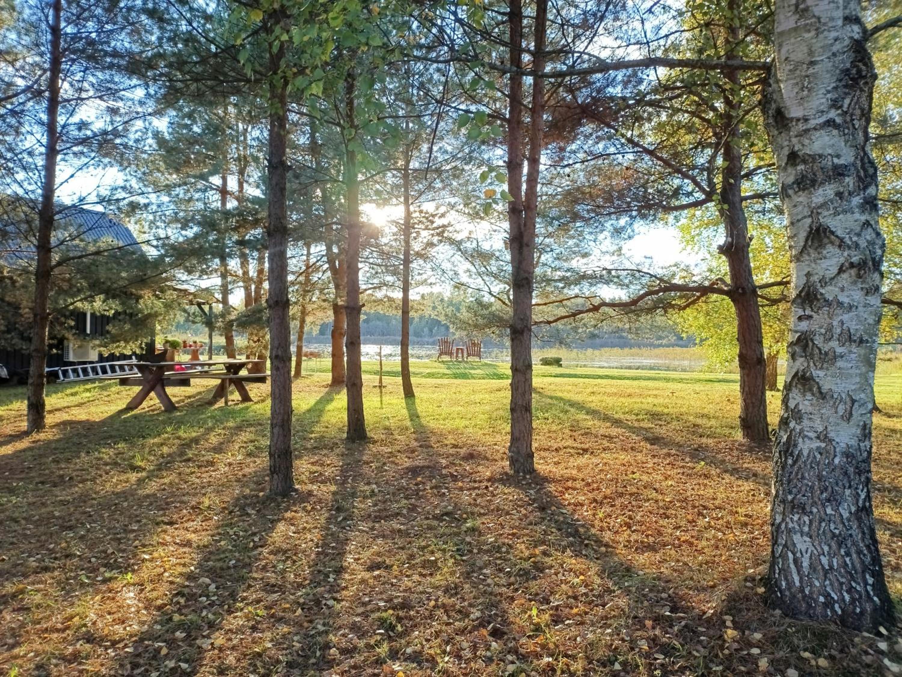 Skujiņa