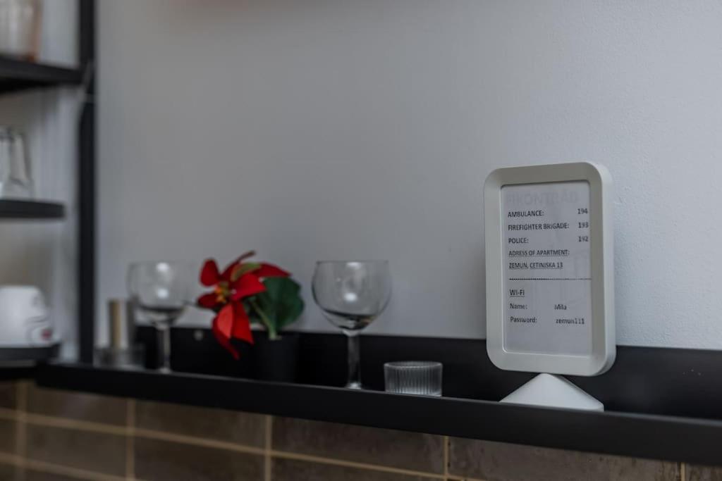 Keti Zemun Spa Apartment view 5