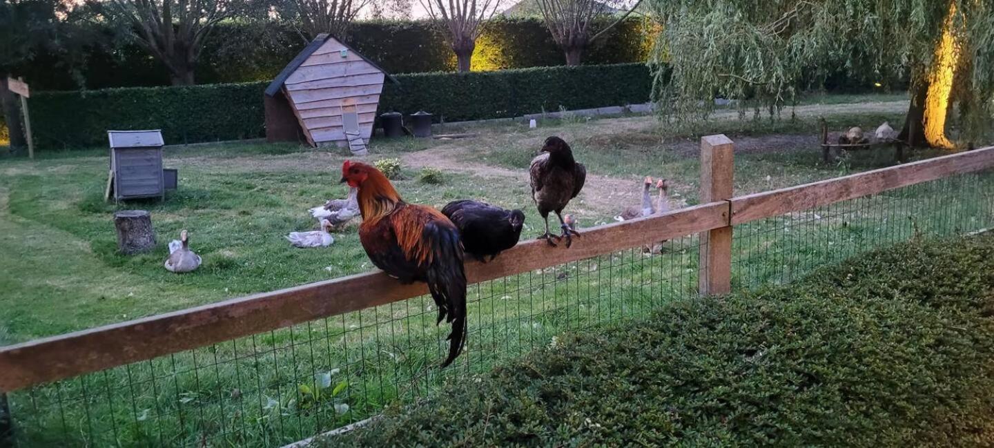 a secret garden