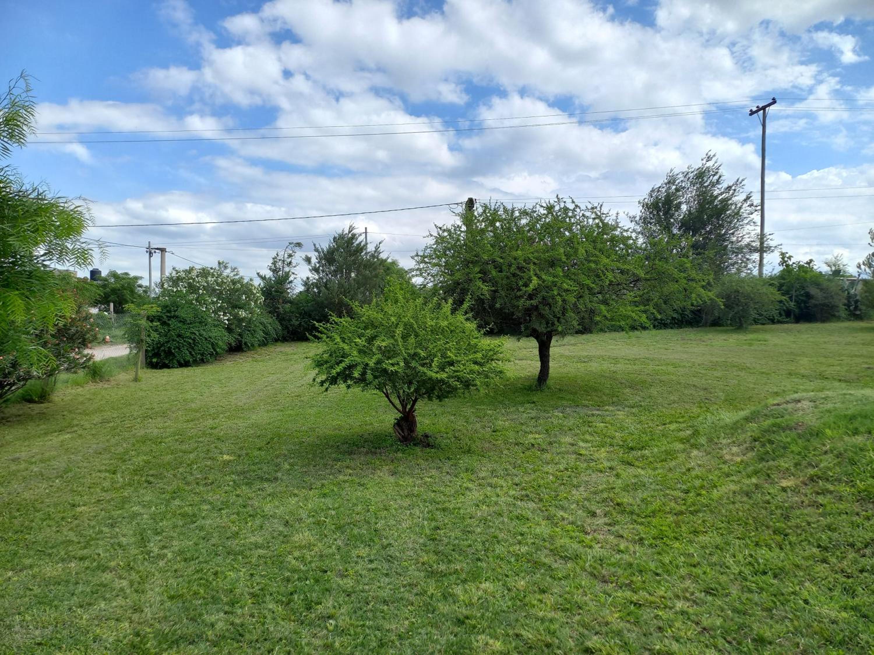 other