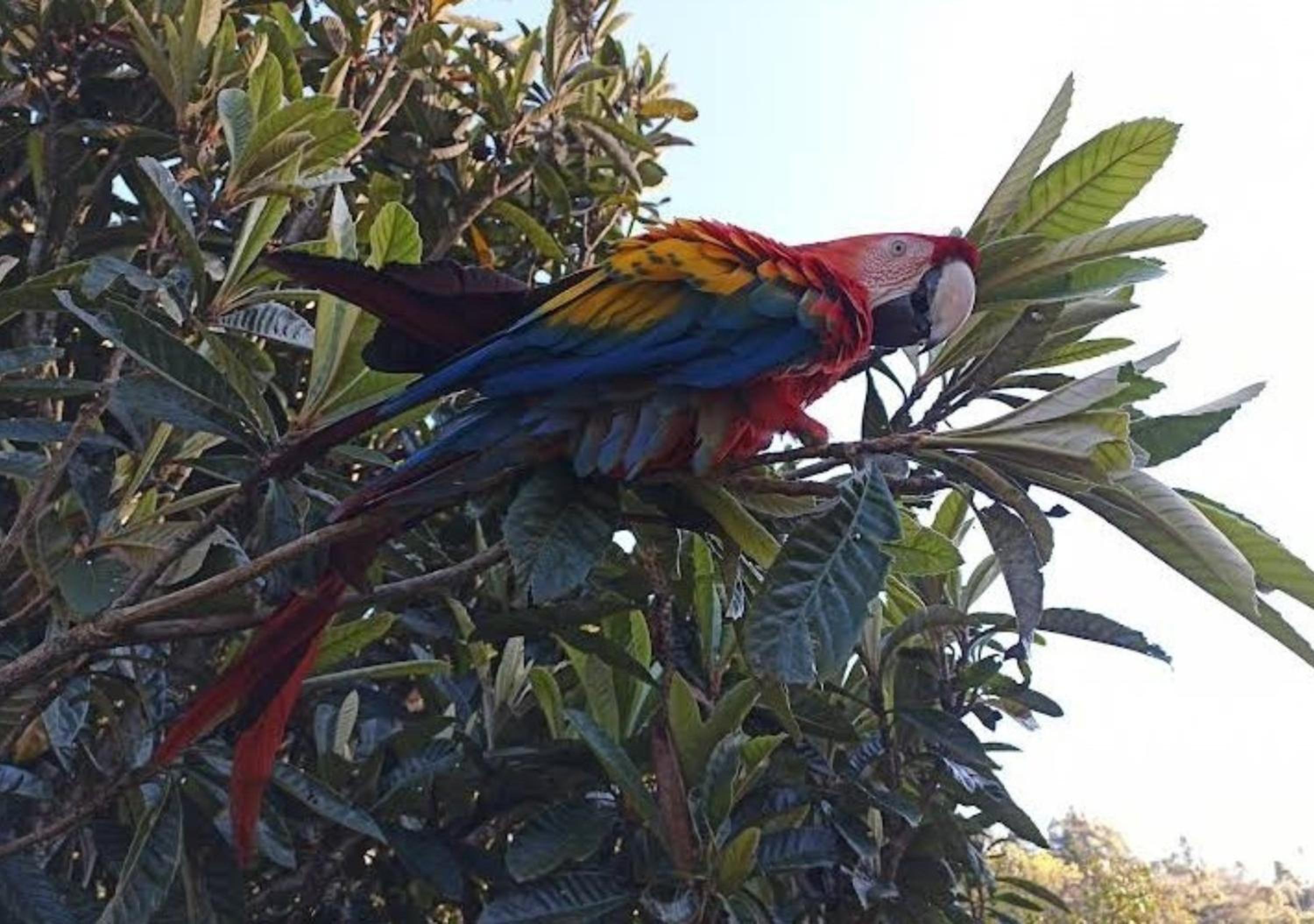 Sitio Tertulia Chalés e Cachoeira