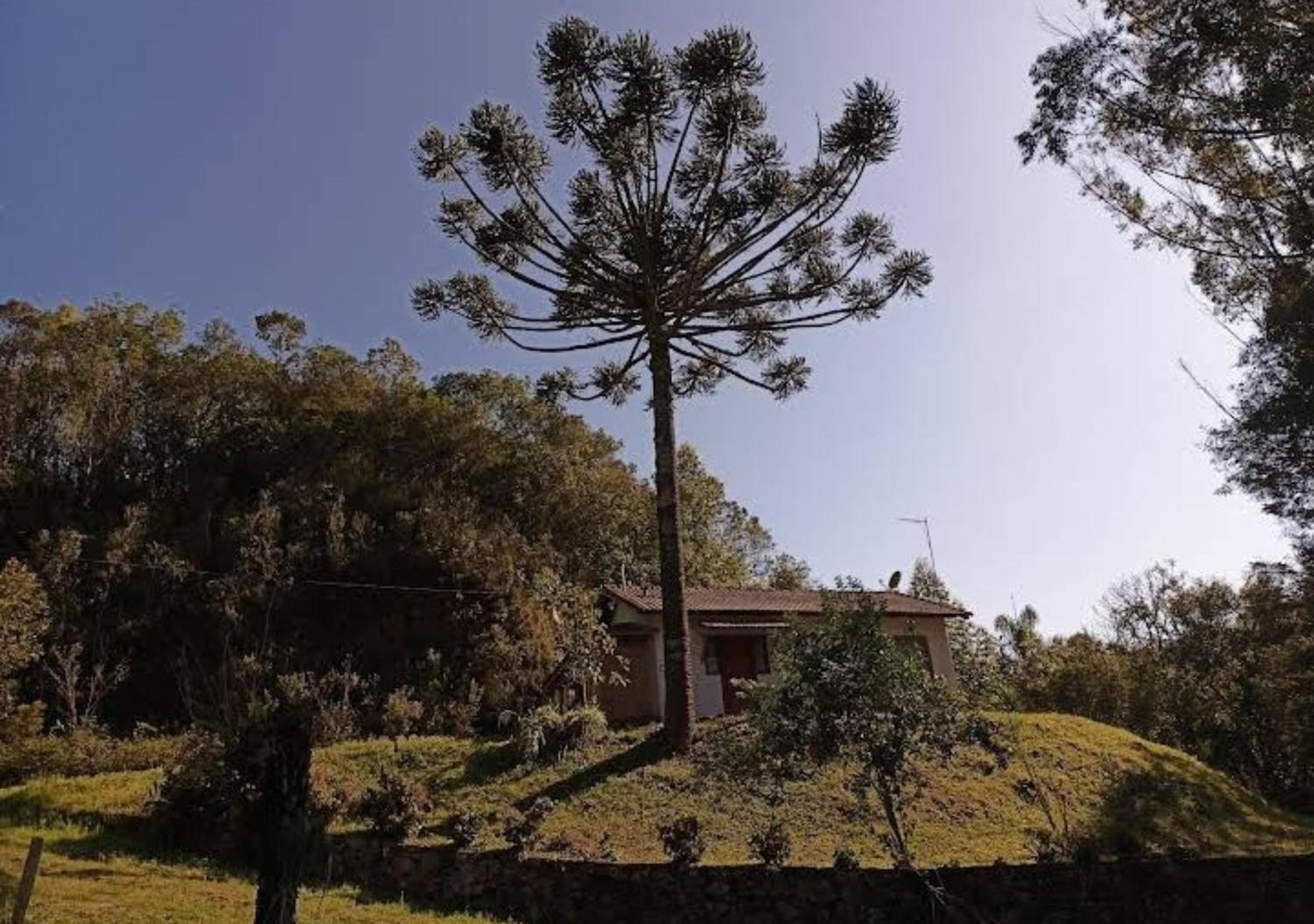 Sitio Tertulia Chalés e Cachoeira