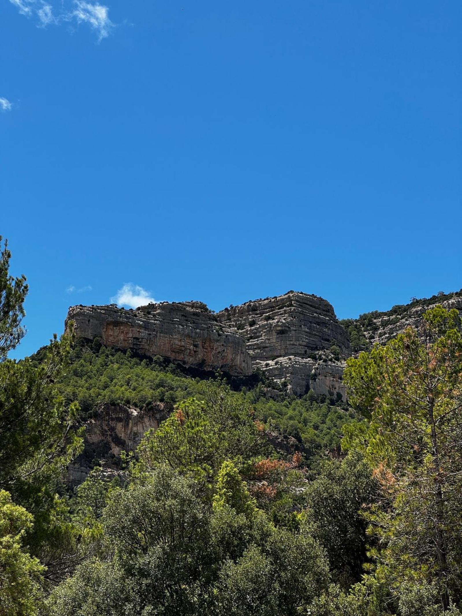 Albergue Mas de la Montaña del Cocodrilo