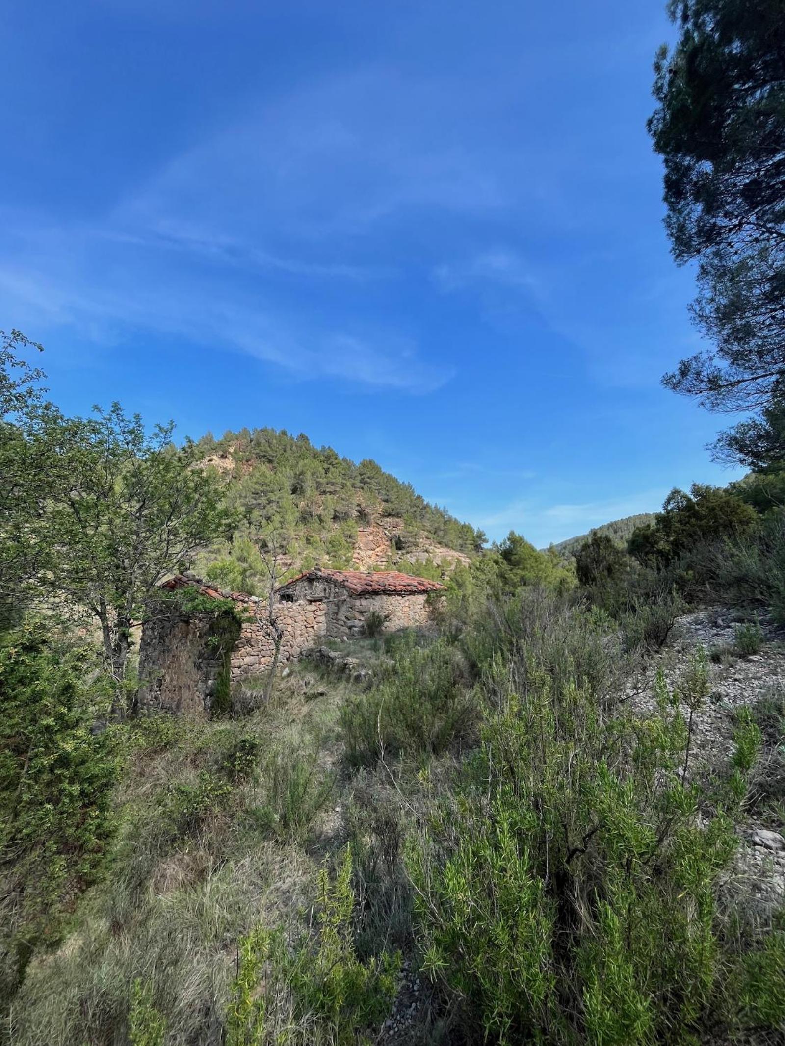 Albergue Mas de la Montaña del Cocodrilo