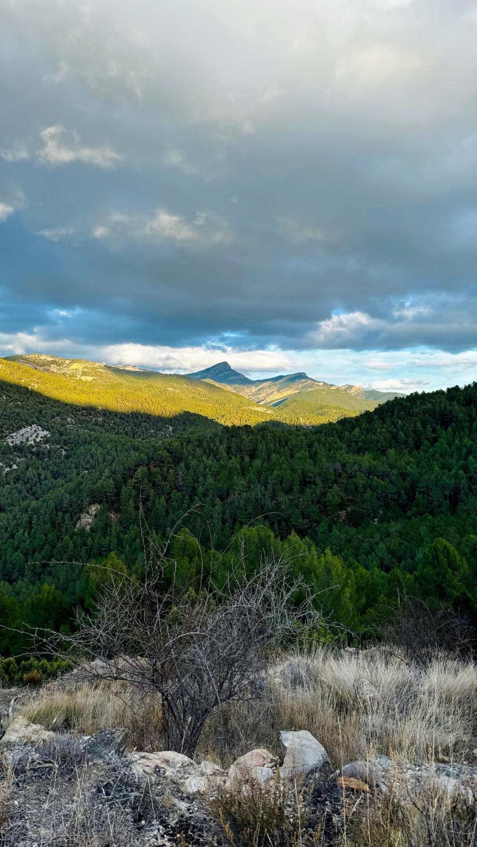 Albergue Mas de la Montaña del Cocodrilo
