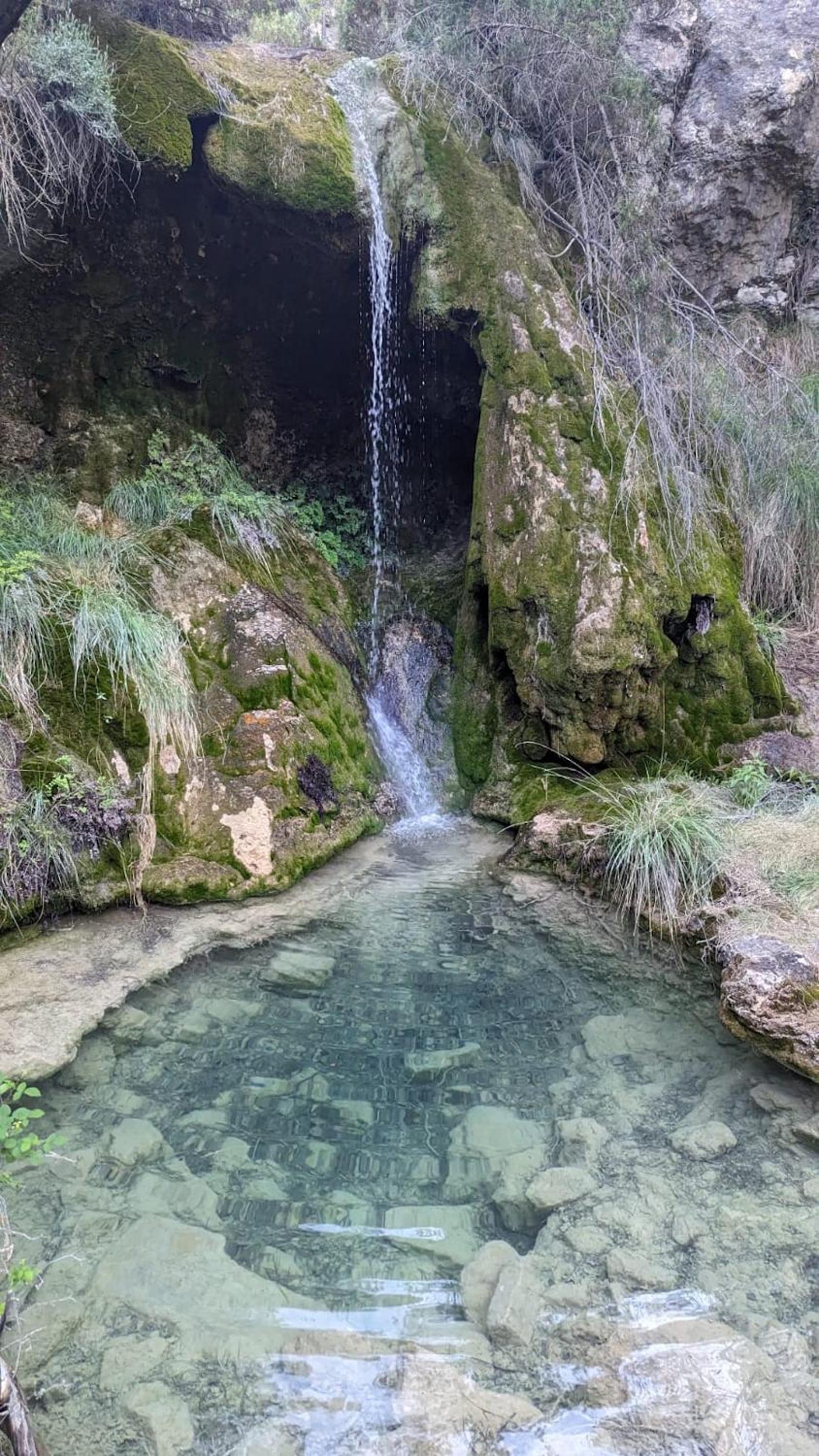 Albergue Mas de la Montaña del Cocodrilo