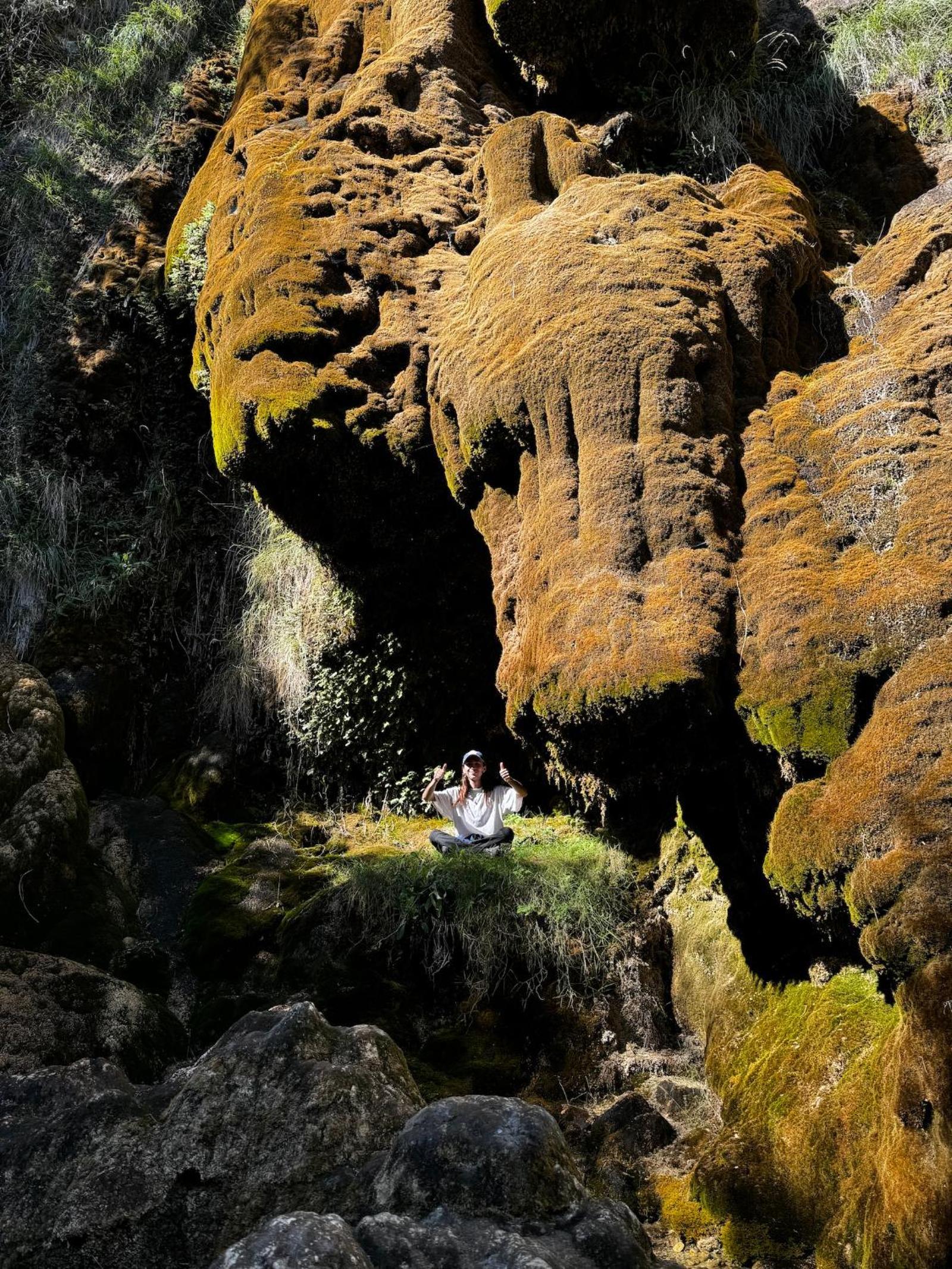 Albergue Mas de la Montaña del Cocodrilo