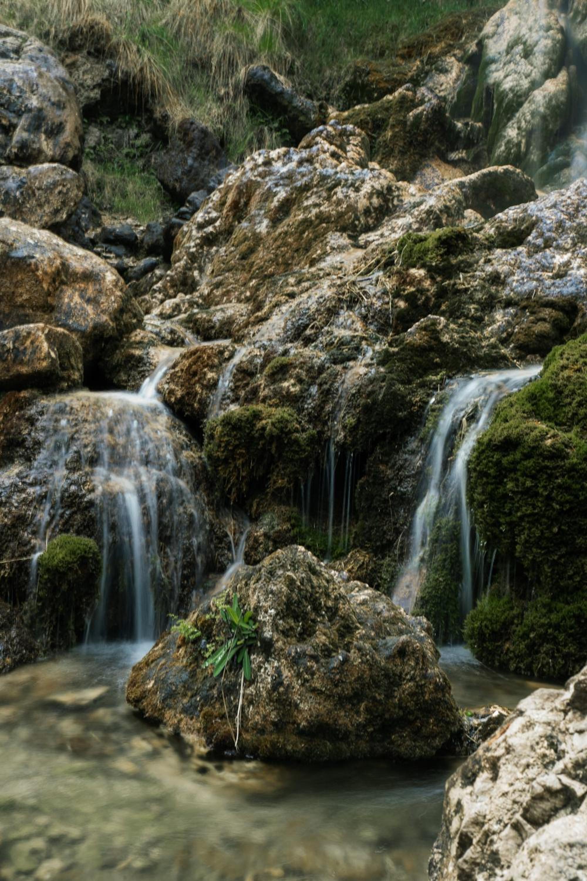 Albergue Mas de la Montaña del Cocodrilo