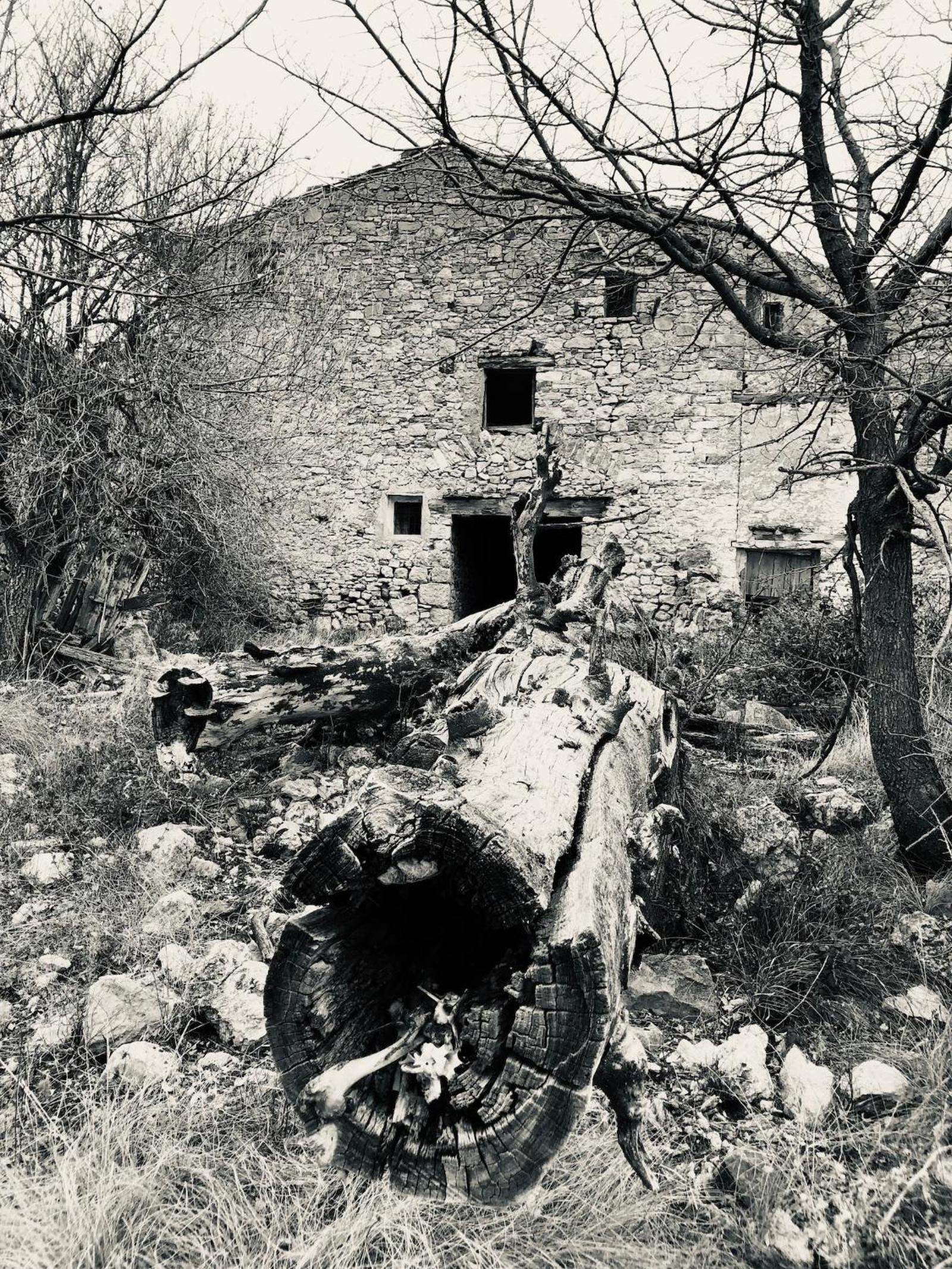 Albergue Mas de la Montaña del Cocodrilo