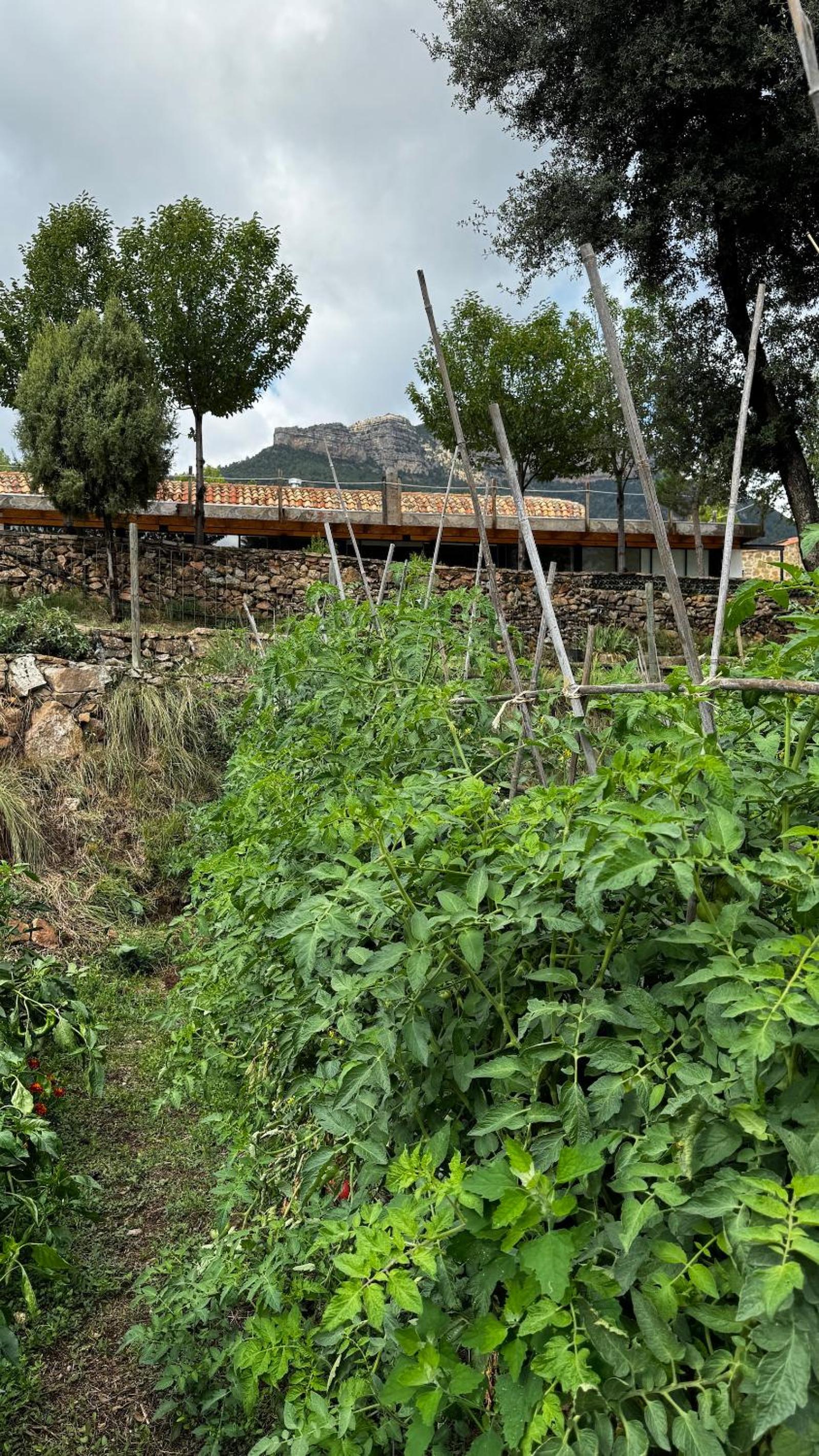 Albergue Mas de la Montaña del Cocodrilo