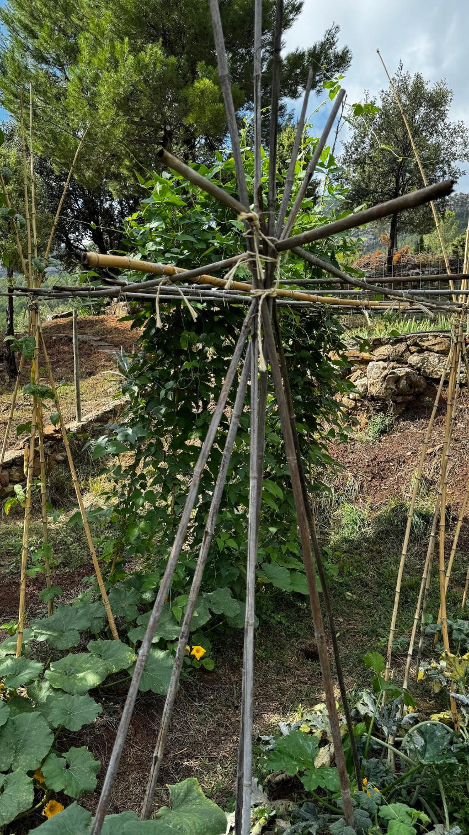 Albergue Mas de la Montaña del Cocodrilo