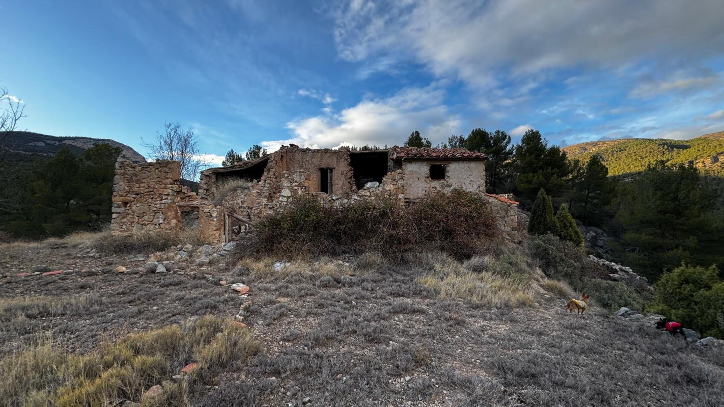 Albergue Mas de la Montaña del Cocodrilo