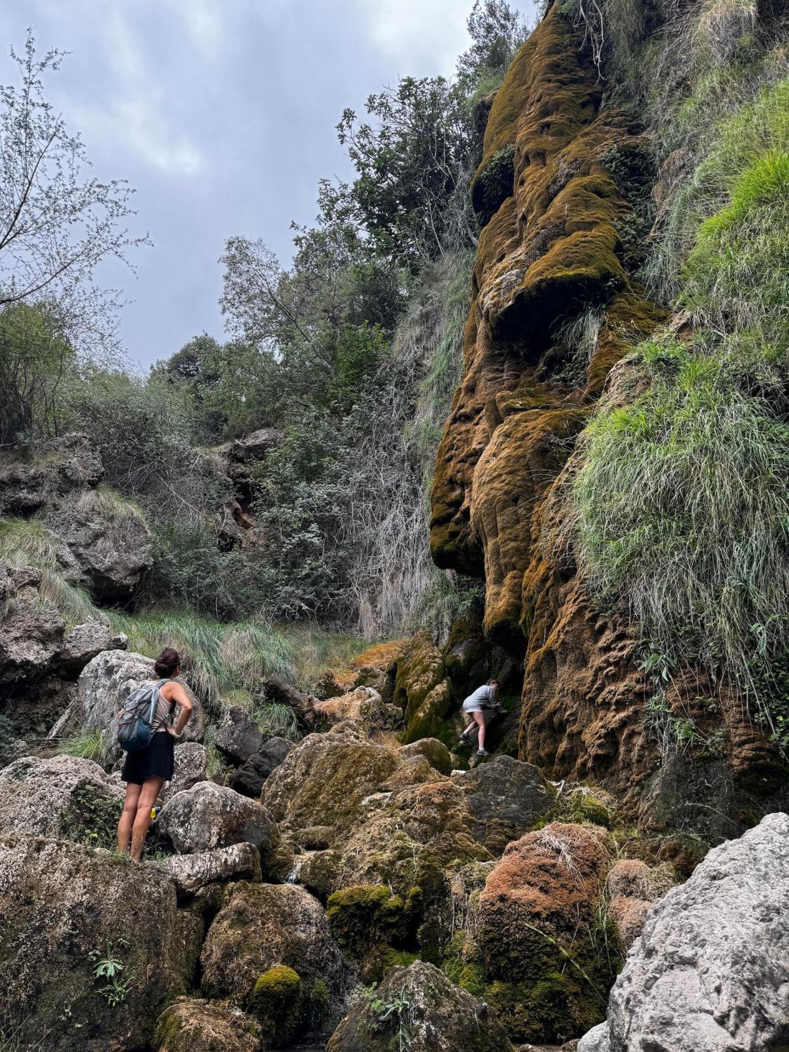 Albergue Mas de la Montaña del Cocodrilo