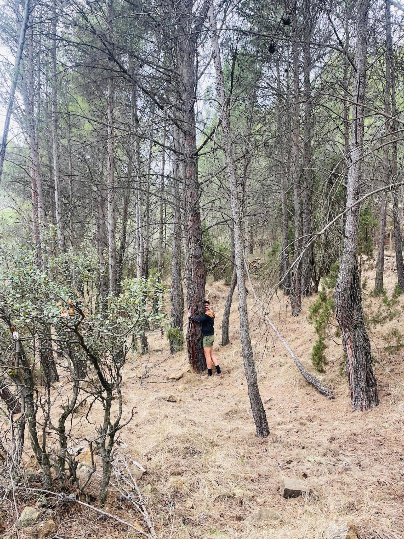 Albergue Mas de la Montaña del Cocodrilo