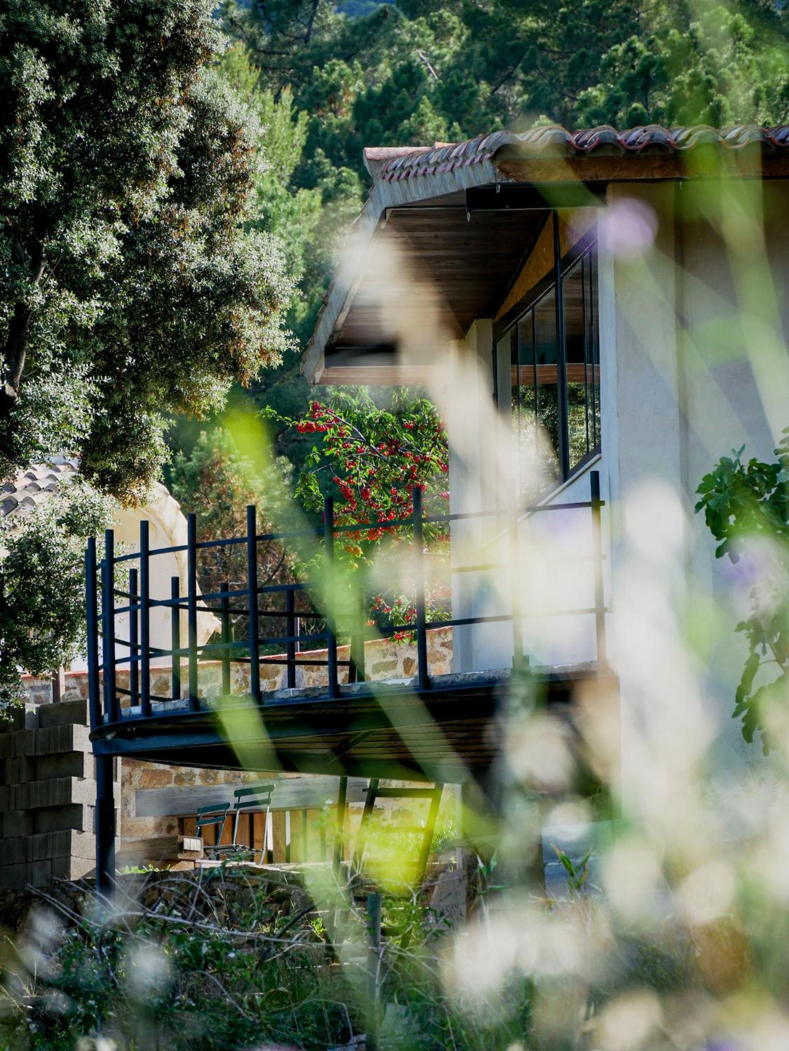 Albergue Mas de la Montaña del Cocodrilo