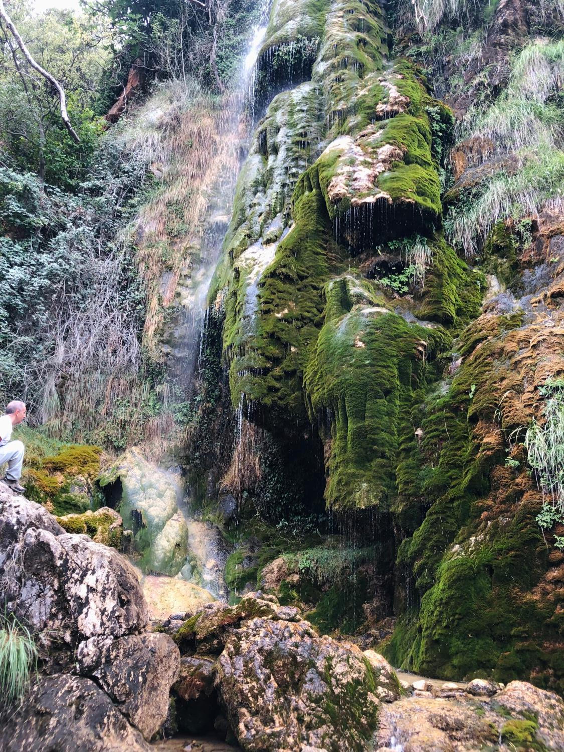 Albergue Mas de la Montaña del Cocodrilo
