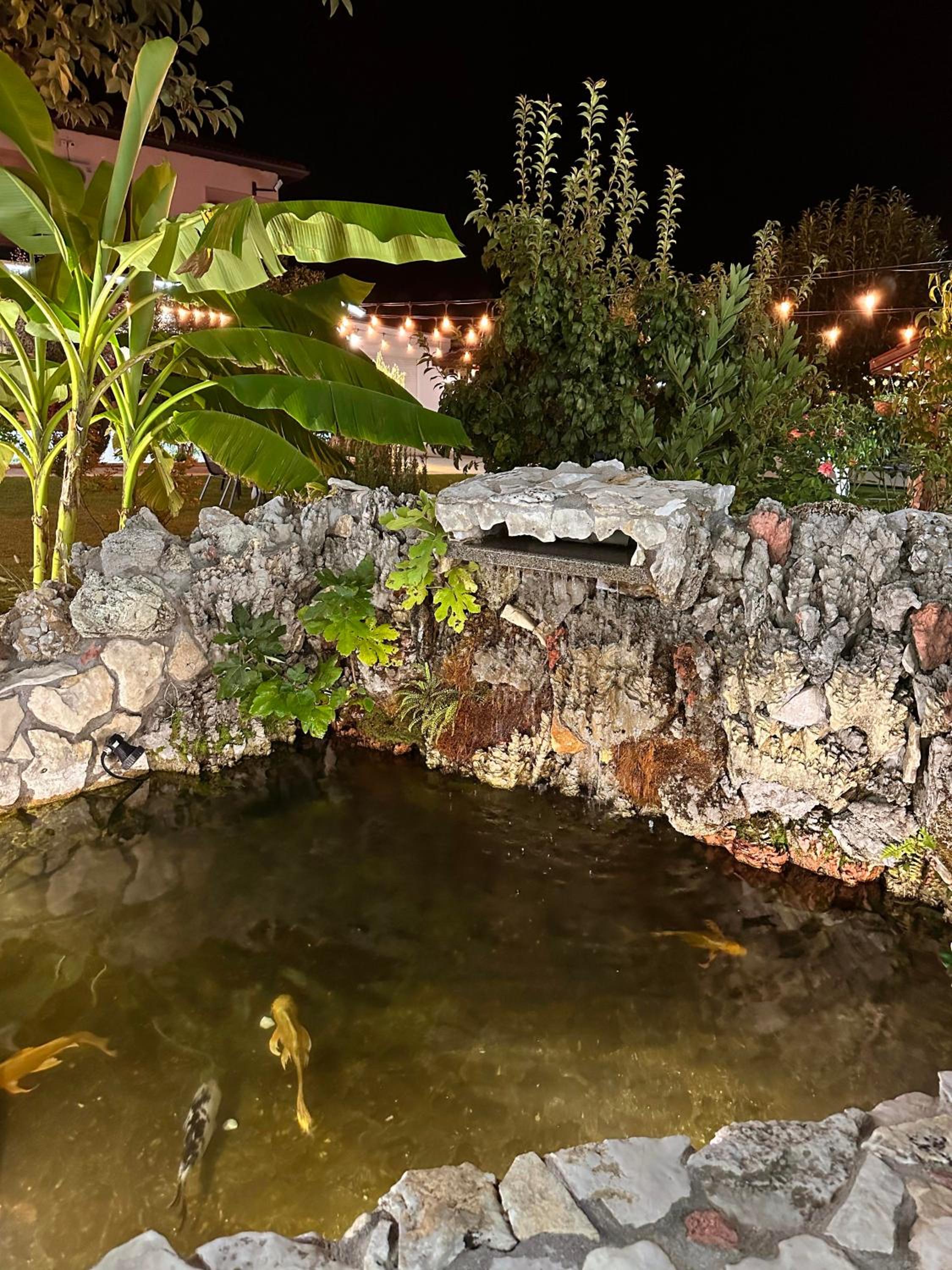 Guest House Doni